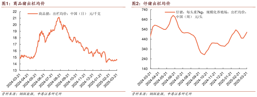谁能回答商品猪出栏均价?