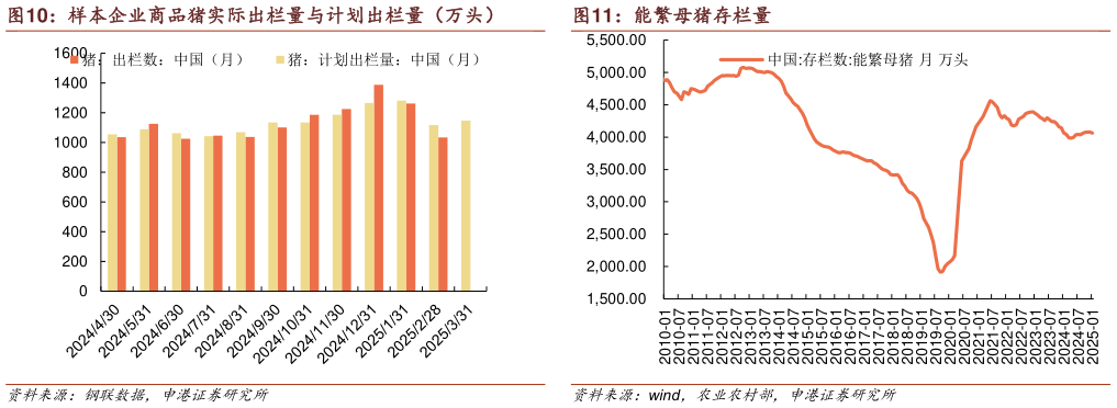 怎样理解样本企业商品猪实际出栏量与计划出栏量(万头) 能繁母猪存栏量?