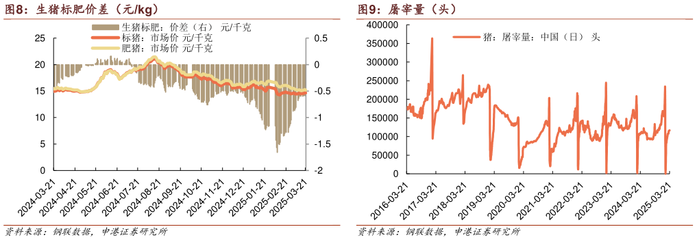 谁知道生猪标肥价差(元kg) 不同体重出栏数占比(%) 屠宰量(头)?