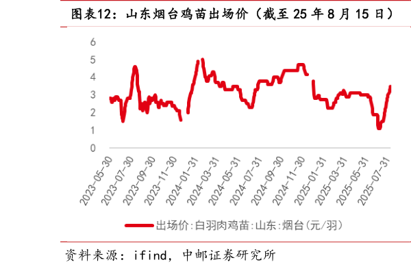 谁能回答山东烟台鸡苗出场价（截至 25 年 8 月 15 日）  山东烟台毛鸡收购价（截至 25 年 8 月 15 日）