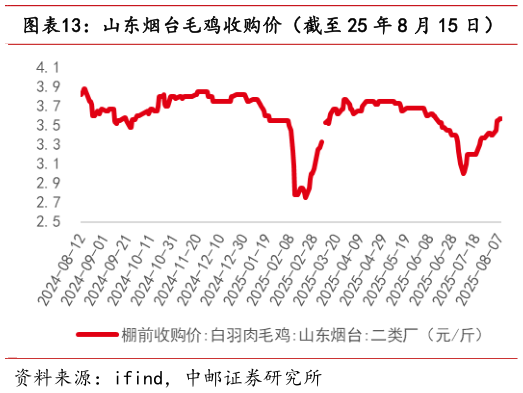 谁知道山东烟台毛鸡收购价（截至 25 年 8 月 15 日）