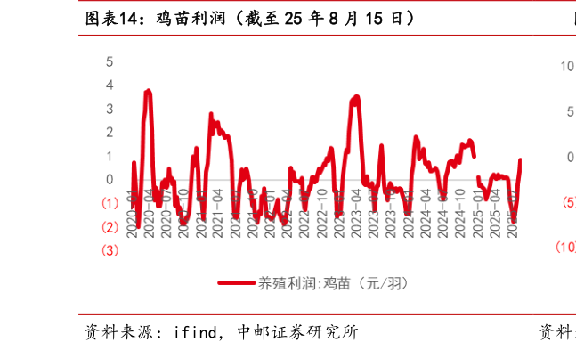 如何解释鸡苗利润（截至 25 年 8 月 15 日）