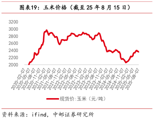 如何看待玉米价格（截至 25 年 8 月 15 日）