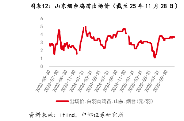 你知道山东烟台鸡苗出场价(截至 25 年 11 月 28 日) 山东烟台毛鸡收购价(截至 25 年 11 月 28 日)?