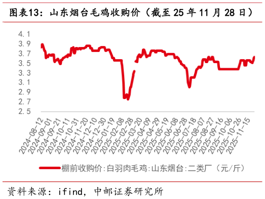 如何看待山东烟台毛鸡收购价(截至 25 年 11 月 28 日)?