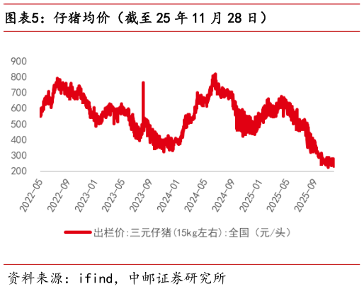 如何才能仔猪均价（截至 25 年 11 月 28 日）