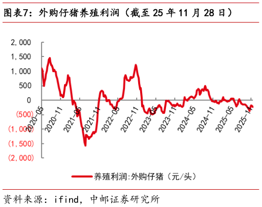 如何看待外购仔猪养殖利润（截至 25 年 11 月 28 日）