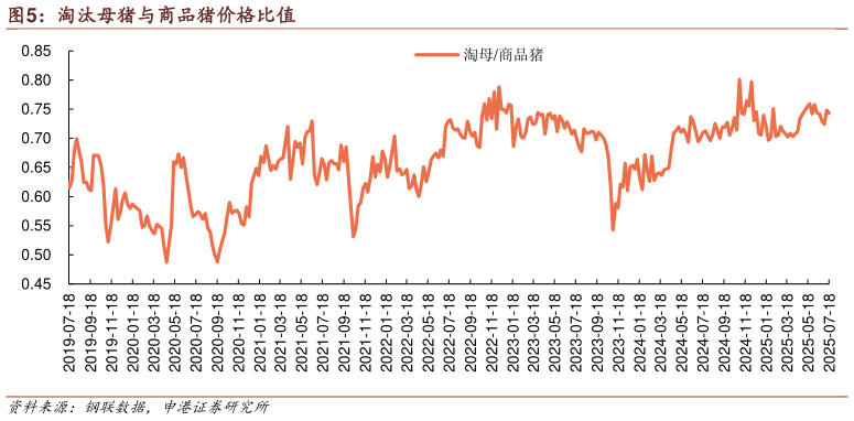咨询大家淘汰母猪与商品猪价格比值?