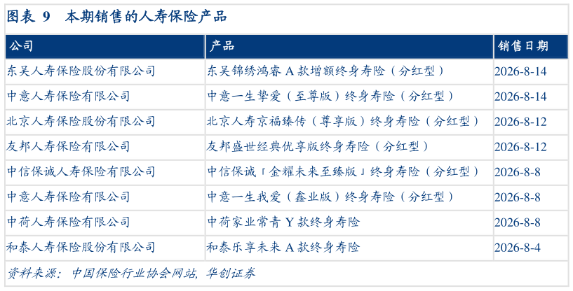 我想了解一下本期销售的人寿保险产品