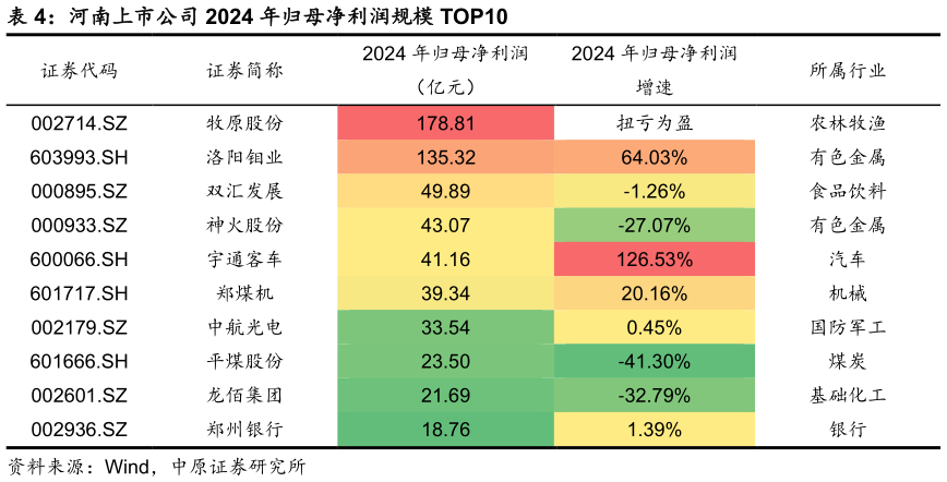 怎样理解河南上市公司 2024 年归母净利润规模 TOP10
