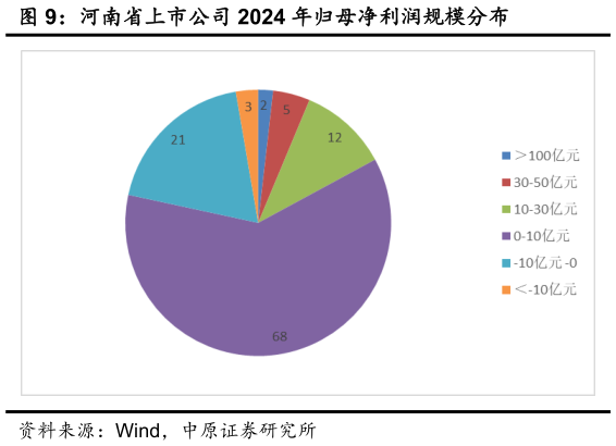 怎样理解河南省上市公司 2024 年归母净利润规模分布
