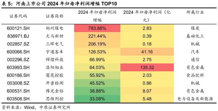 怎样理解河南上市公司 2024 年归母净利润增幅 TOP10