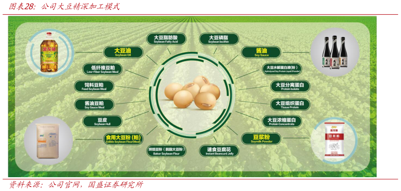 如何看待公司大豆精深加工模式