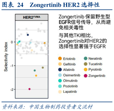 我想了解一下Zongertinib HER2 选择性?