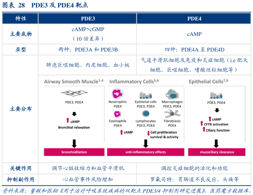 谁能回答PDE3 及 PDE4 靶点?