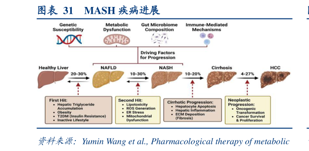 如何了解MASH 疾病进展?