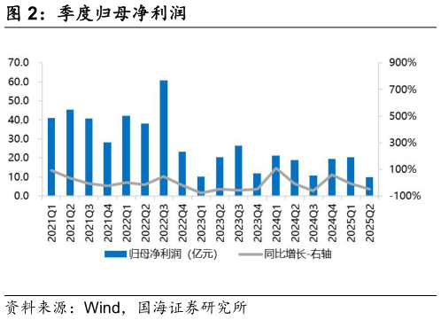 谁能回答季度归母净利润
