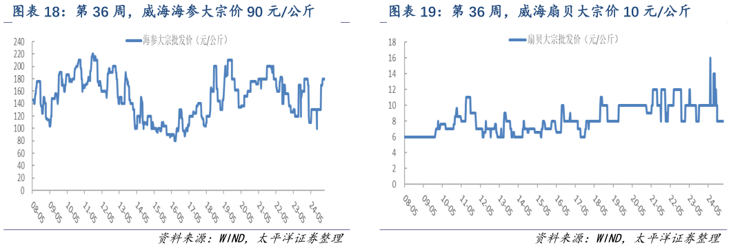 谁能回答第 36 周,威海海参大宗价 90 元公斤 第 36 周,威海扇贝大宗价 10 元公斤?