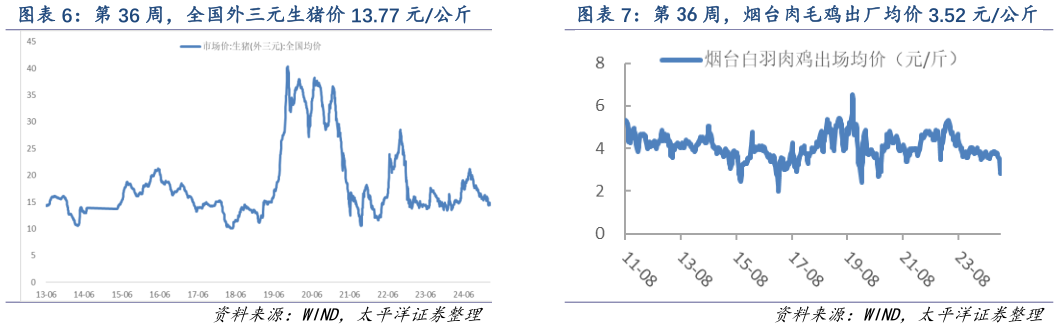 如何了解第 36 周，烟台肉毛鸡出厂均价 3.52 元公斤?