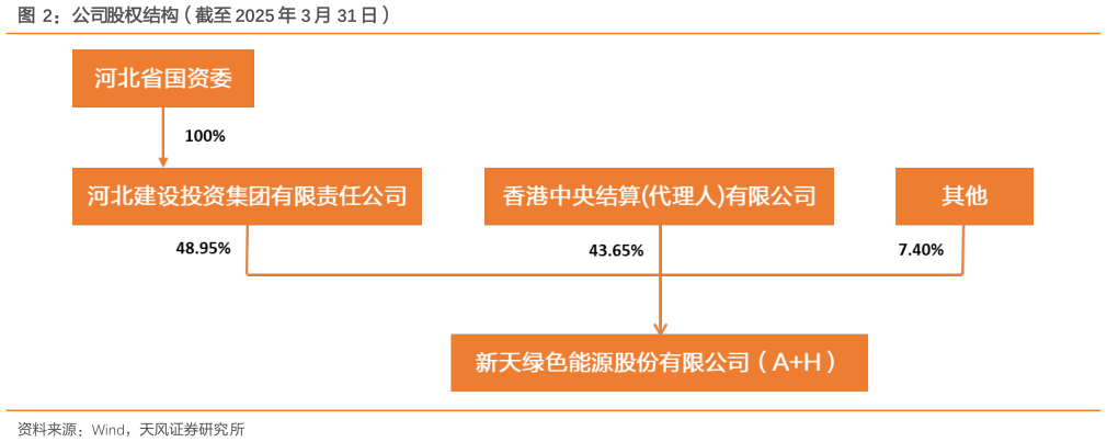 如何了解公司股权结构（截至 2025 年 3 月 31 日）