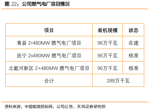 我想了解一下公司燃气电厂项目情况