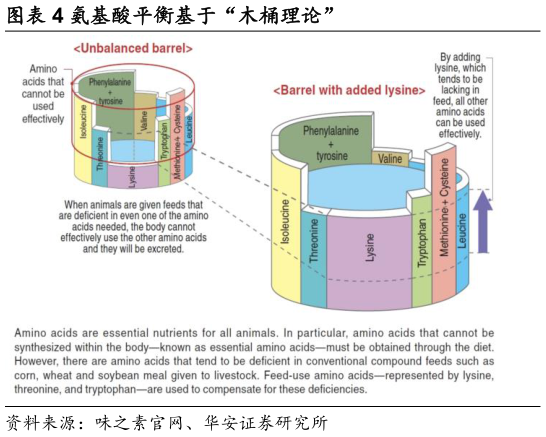怎样理解氨基酸平衡基于“木桶理论”