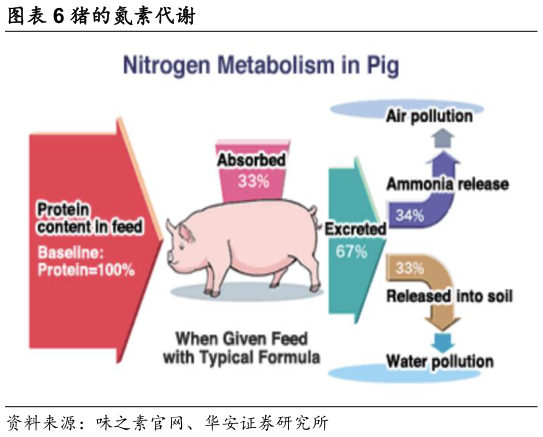 如何了解猪的氮素代谢