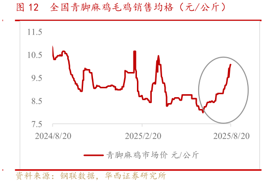 你知道全国青脚麻鸡毛鸡销售均格（元公斤）?