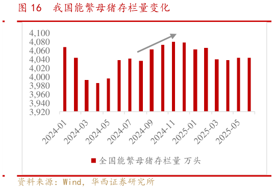 如何解释我国能繁母猪存栏量变化?