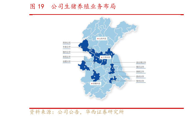 如何了解公司生猪养殖业务布局