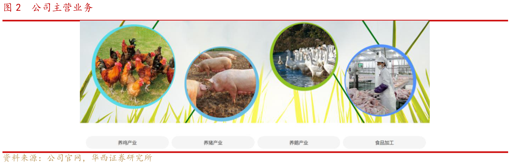 请问一下公司主营业务