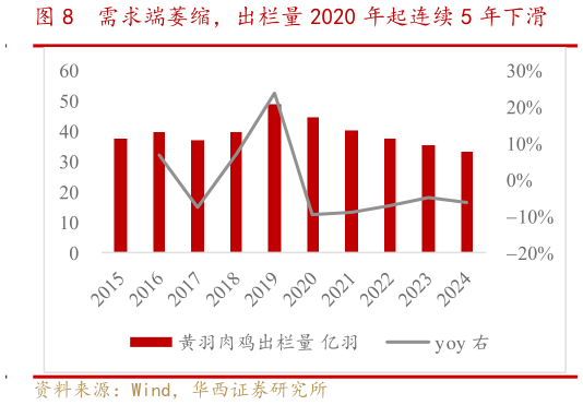 咨询大家需求端萎缩，出栏量 2020 年起连续 5 年下滑