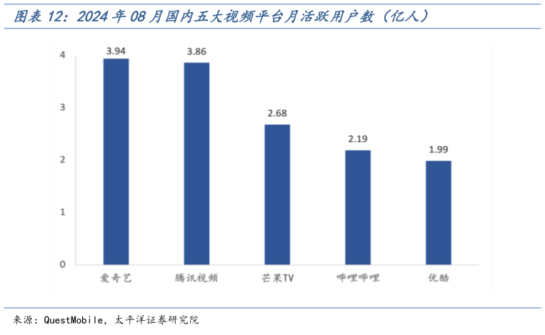 各位网友请教一下2024年08月国内五大视频平台月活跃用户数（亿人）