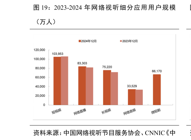 如何看待2023-2024 年 网 络 视 听 细 分 应 用 用 户 规 模