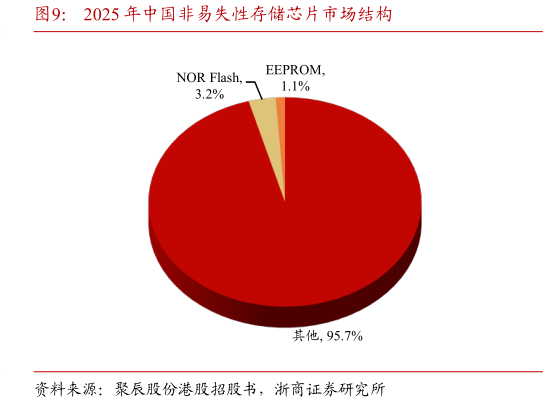 我想了解一下2025 年中国非易失性存储芯片市场结构
