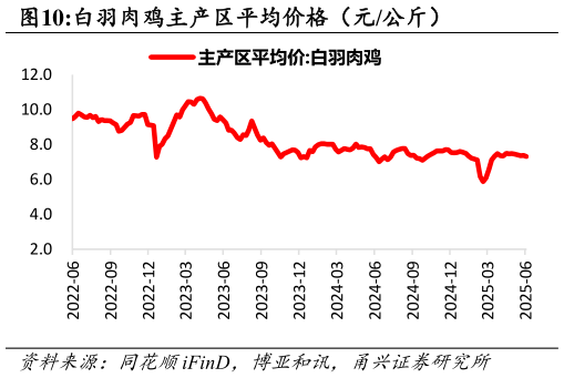 想关注一下白羽肉鸡主产区平均价格（元公斤）
