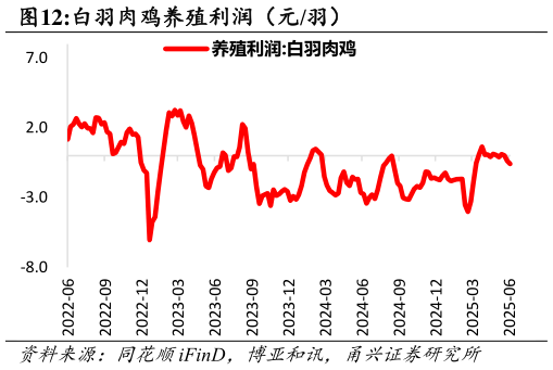 如何看待白羽肉鸡养殖利润（元羽） 