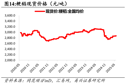 咨询大家粳稻现货价格（元吨）