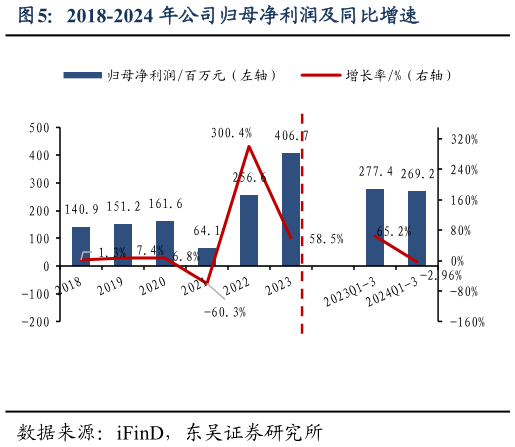 请问一下2018-2024 年公司归母净利润及同比增速?