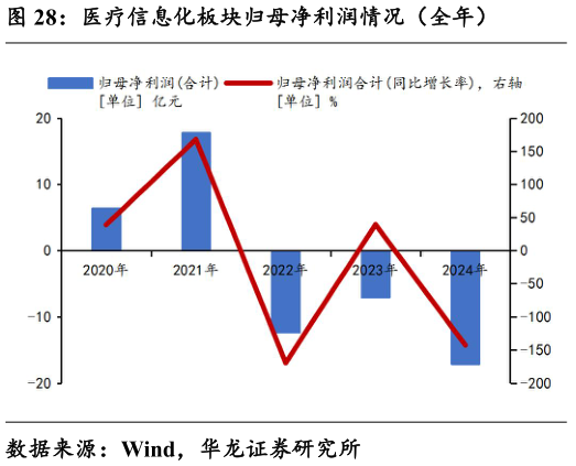 我想了解一下医疗信息化板块归母净利润情况（全年）