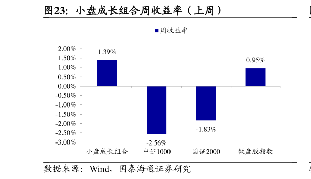 我想了解一下小盘成长组合周收益率（上周）?