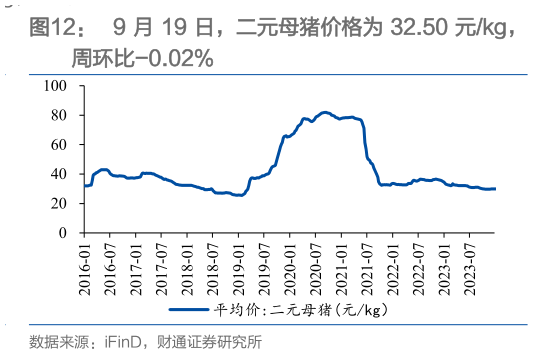 我想了解一下9 月 19 日，二元母猪价格为 32.50 元kg，