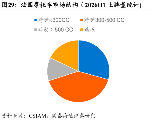 咨询大家法国摩托车市场结构（2026H1 上牌量统计