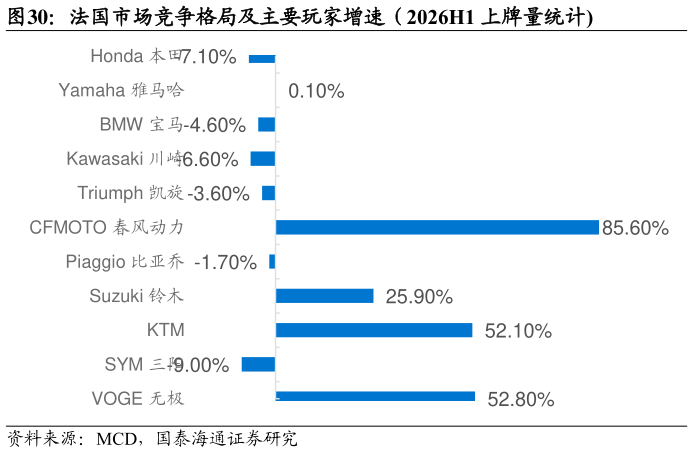 想关注一下法国市场竞争格局及主要玩家增速（2026H1 上牌量统计
