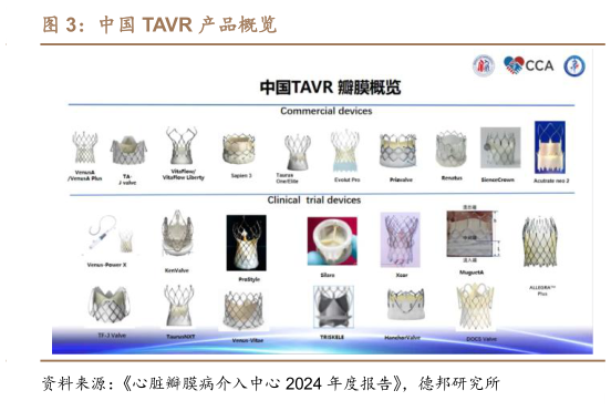 我想了解一下中国 TAVR 产品概览?