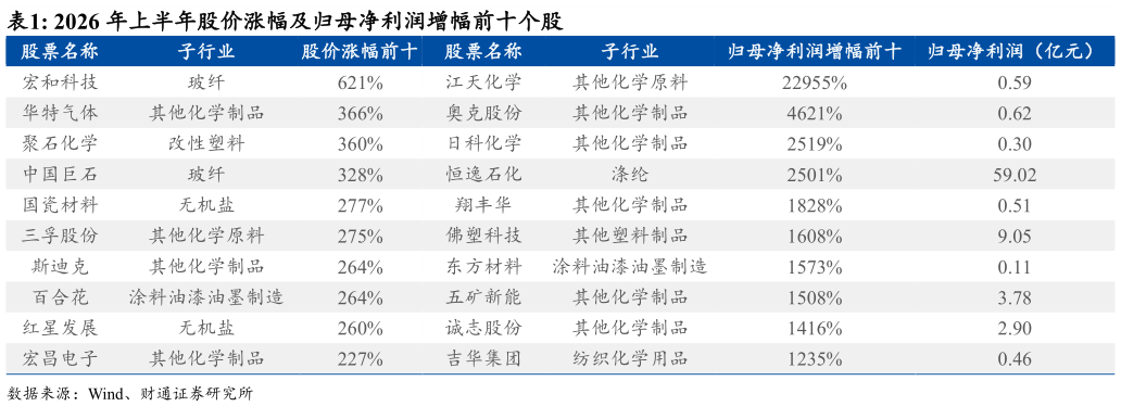 如何才能2026 年上半年股价涨幅及归母净利润增幅前十个股?