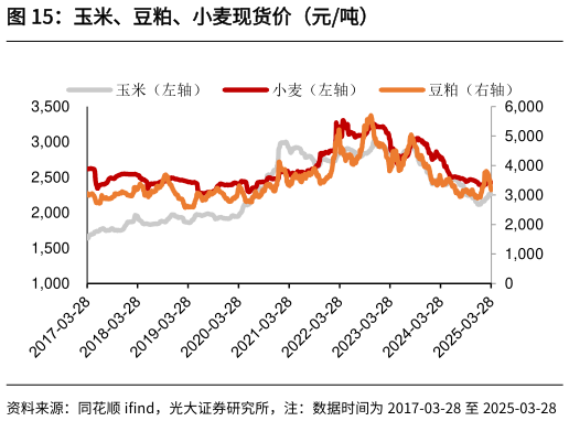 想关注一下玉米、豆粕、小麦现货价(元吨)?