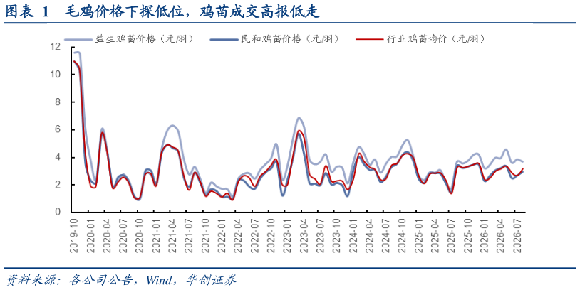 如何了解毛鸡价格下探低位，鸡苗成交高报低走