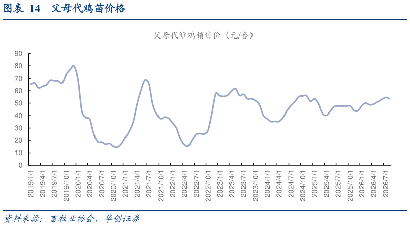 怎样理解父母代鸡苗价格