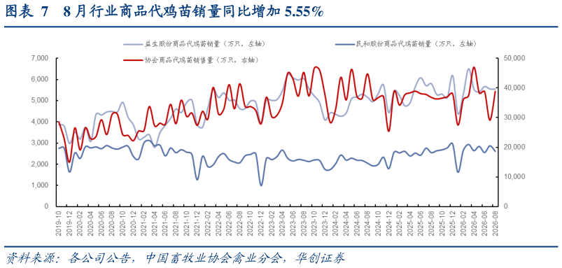 一起讨论下8 月行业商品代鸡苗销量同比增加 5.55%